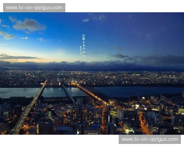 霓虹深处的喧嚣与葡萄架下的慢叙：大阪VS阿德莱德，谁才是你灵魂的落脚点？